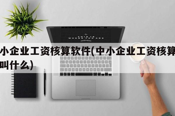 中小企业工资核算软件(中小企业工资核算软件叫什么)